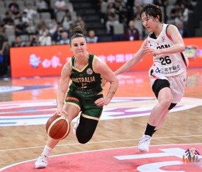 阿斯顿维拉vs曼联解析-3377入口